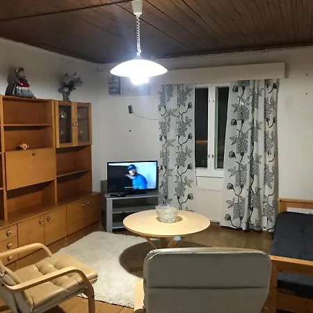 Saehkoepirtti Salmivaara 호텔